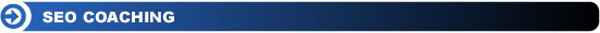 SEO Consulting